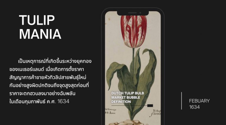 Tulip Mania